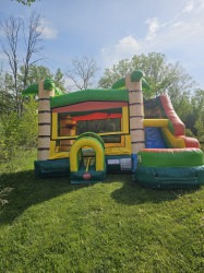 20240514 094008 1720455082 Combo Bounce House Tropical